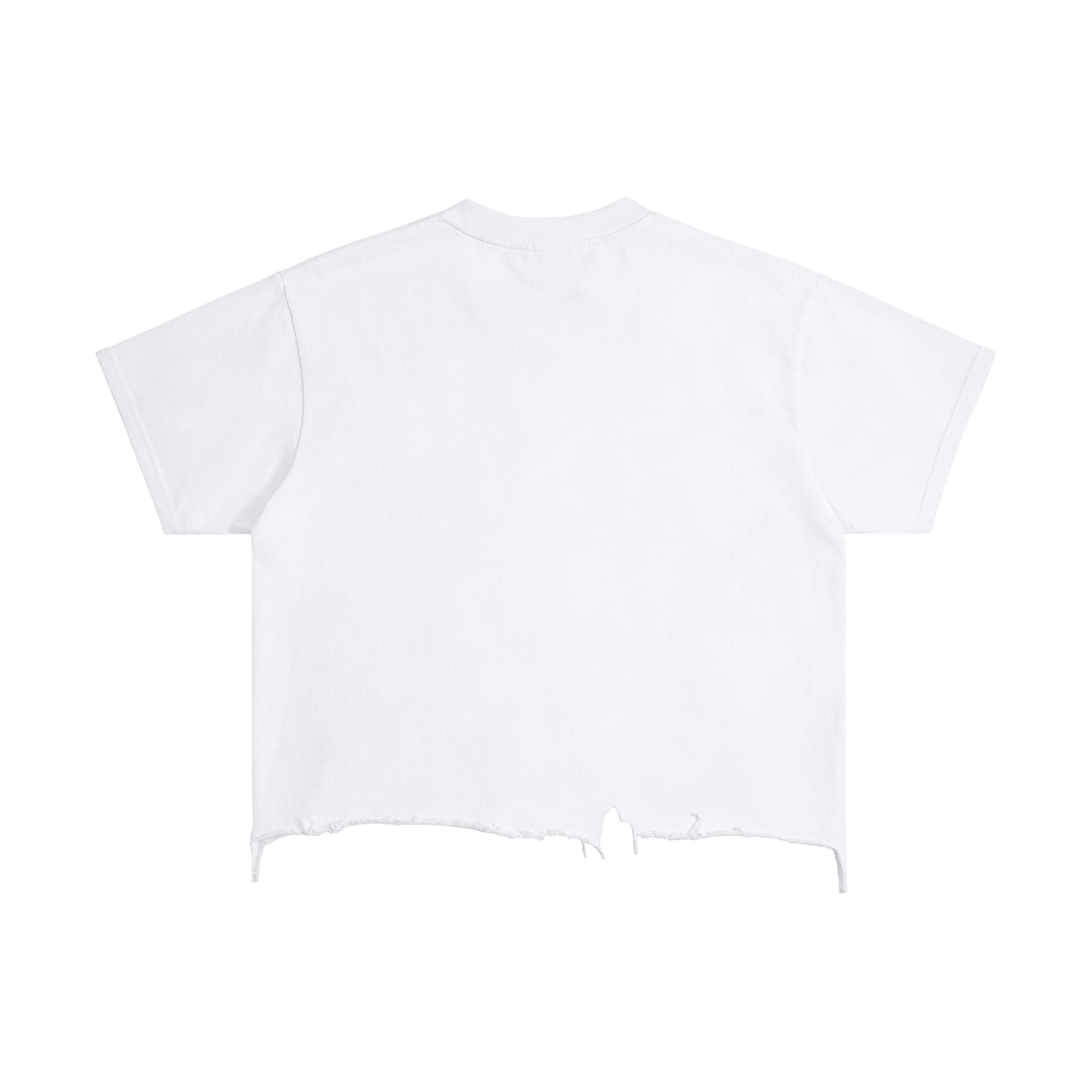 Vintage Wash Distressed Boxy T-Shirt