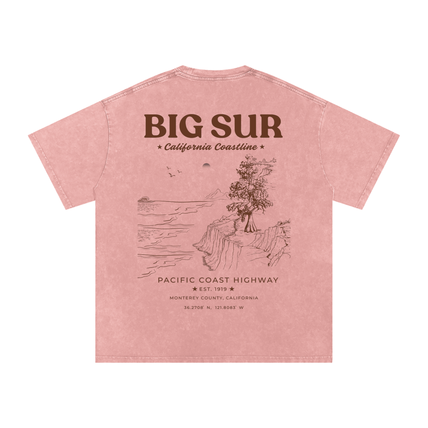 Big Sur California Washed Oversized T-Shirt