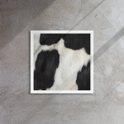 Mireille Fine Art, cow wall art, cow artwork canvas print