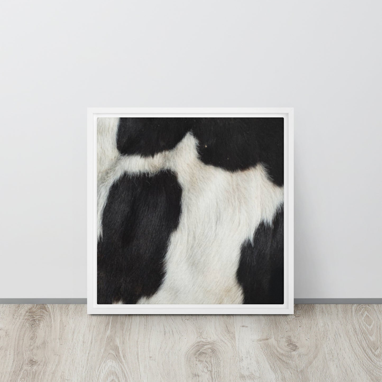 Mireille Fine Art, cow wall art, cow artwork canvas print
