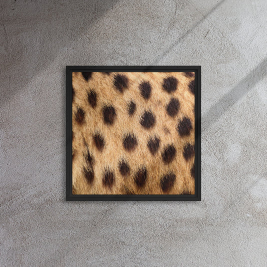 Mireille Fine Art, leopard artwork canvas print, leopard wall art 