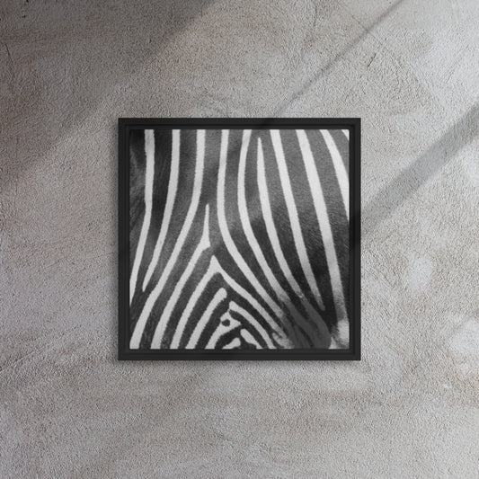 Mireille Fine Art, Zebra artwork framed canvas print, zebra wall art 