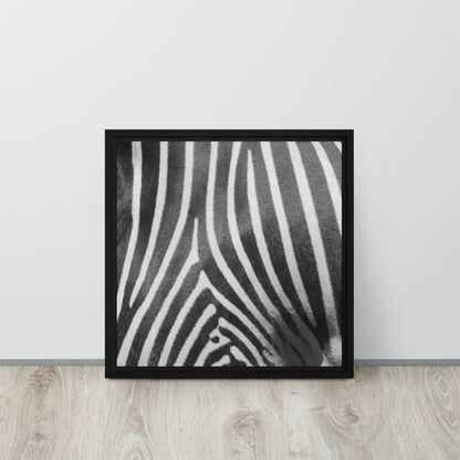 Mireille Fine Art, Zebra artwork framed canvas print, zebra wall art 