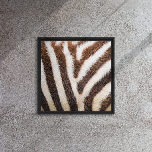 Mireille Fine Art, Zebra artwork canvas print, Zebra art, zebra wall art 