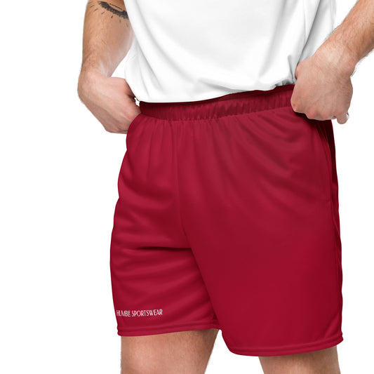 Humble Sportswear men’s color match mesh shorts, men’s mesh basketball shorts, men’s athletic shorts, comfortable shorts for men, men’s moisture wicking shorts