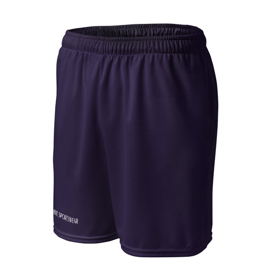 Humble Sportswear men’s color match mesh shorts, minimalist shorts, men’s basketball shorts