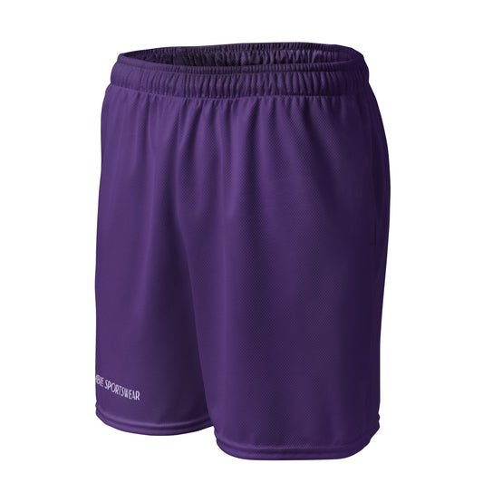 Humble Sportswear men’s color match mesh shorts, minimalist shorts, men’s basketball shorts