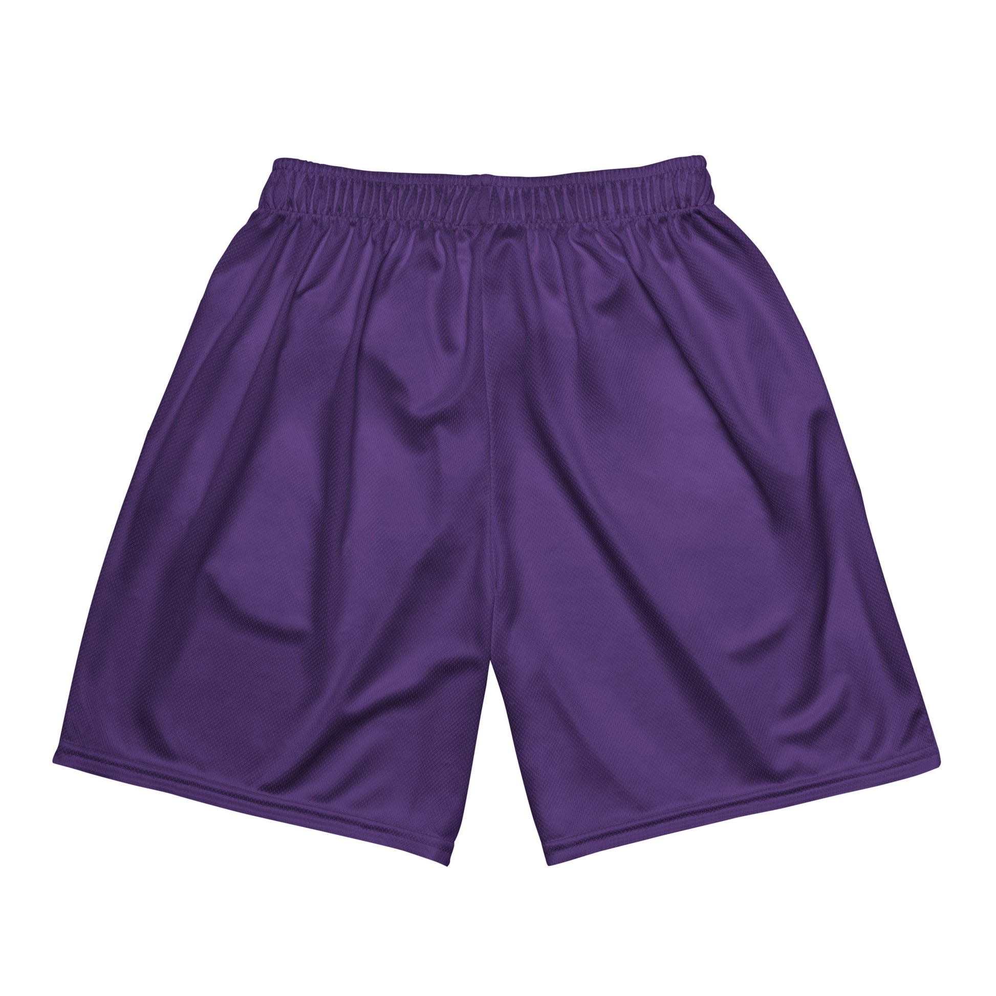 Humble Sportswear men’s color match mesh shorts, minimalist shorts, men’s basketball shorts