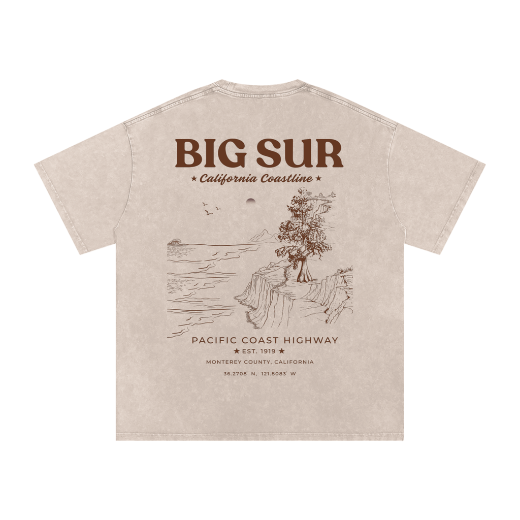 Big Sur California Washed Oversized T-Shirt