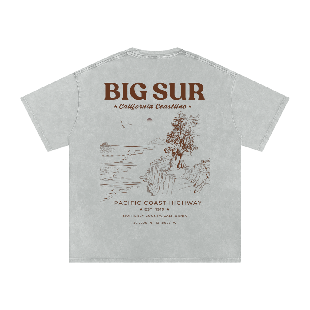 Big Sur California Washed Oversized T-Shirt
