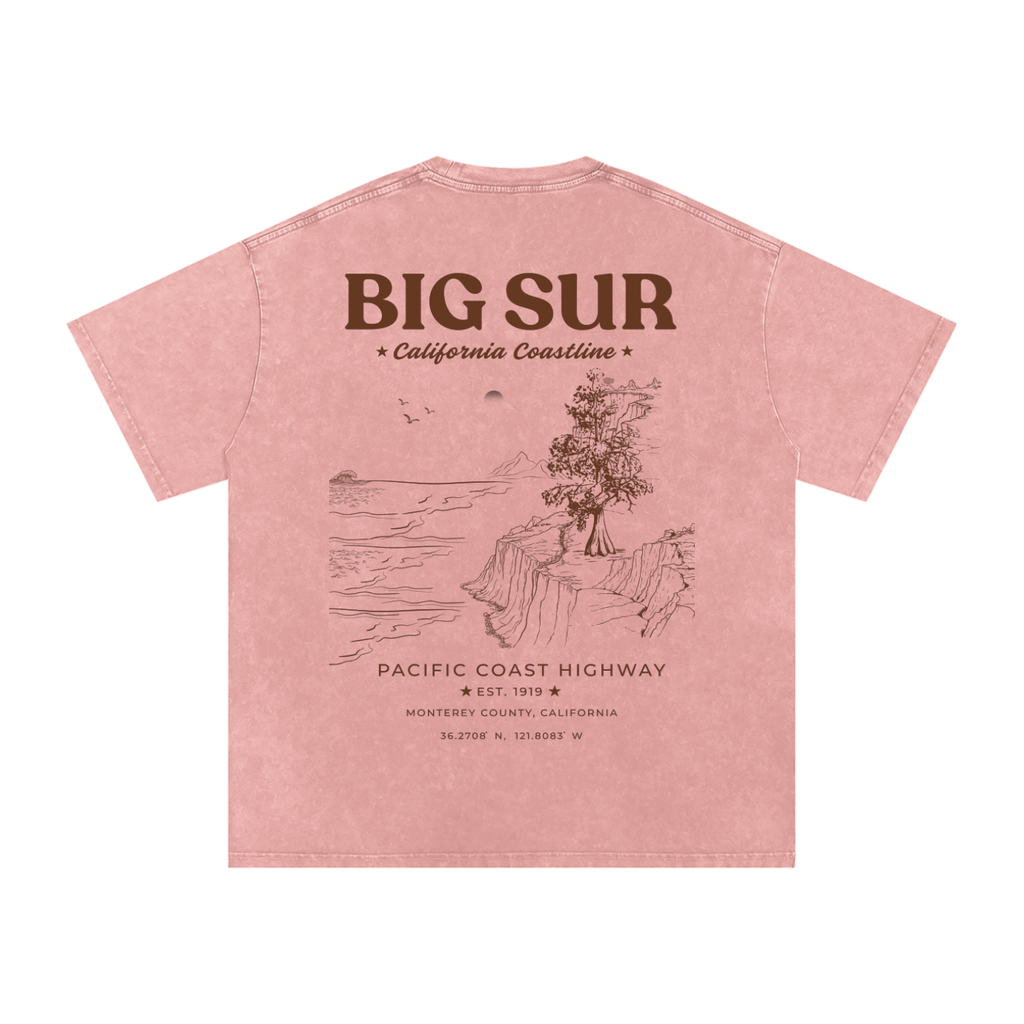 back view of pink oversized washed t-shirt