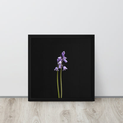 bluebells canvas print wall art black floater frame