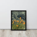 botanical california poppy canvas wall art decor