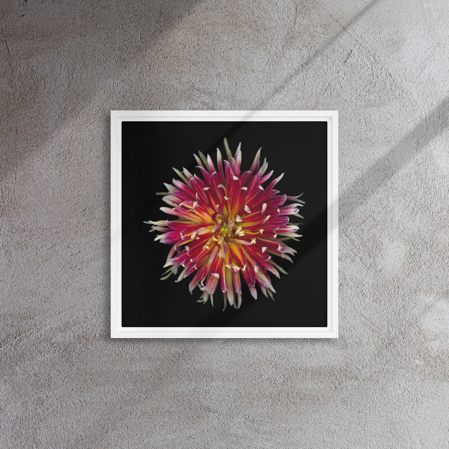 dahlia flower canvas print wall art white floater frame 