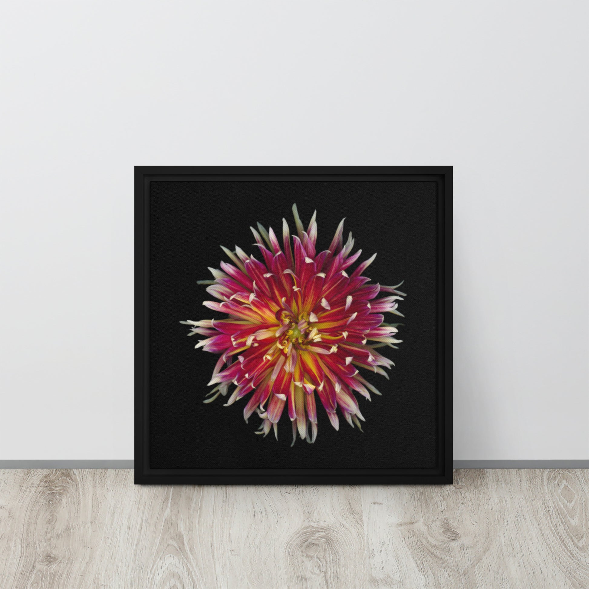 dahlia flower canvas print wall art black floater frame 