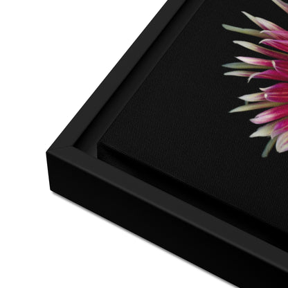 dahlia flower canvas print wall art black floater frame 