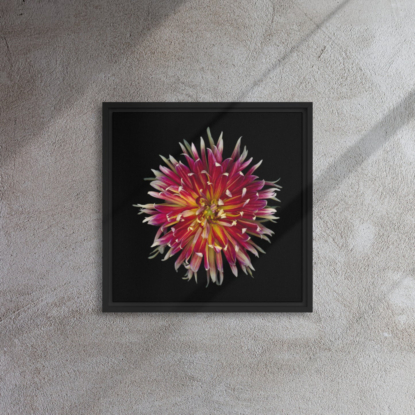 dahlia flower canvas print wall art black floater frame 