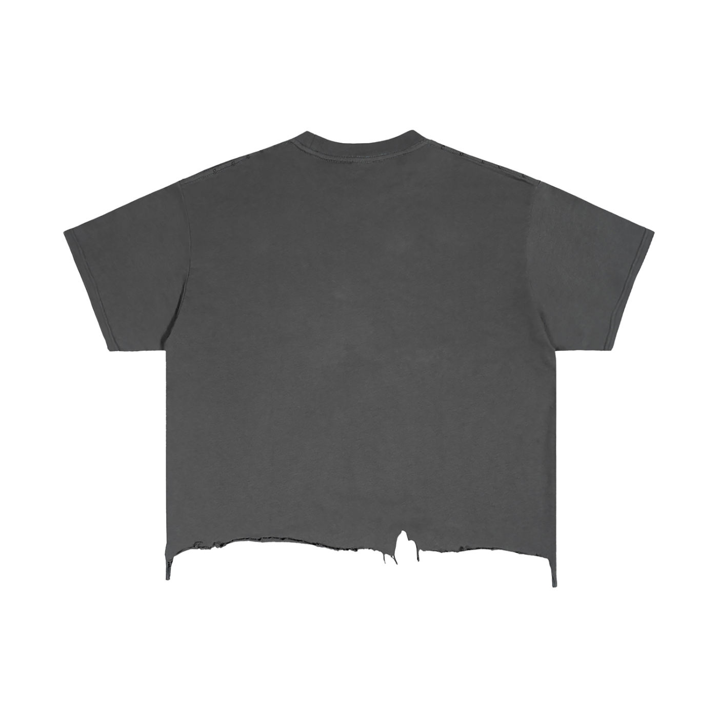 Vintage Wash Distressed Boxy T-Shirt