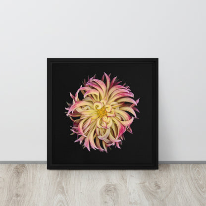 floral canvas print artwork dahlia flower black frame