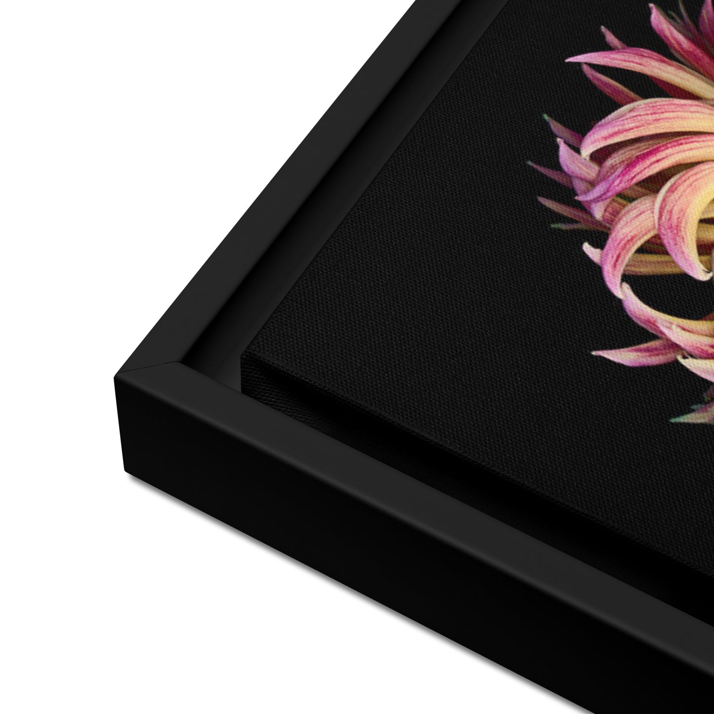 floral canvas print artwork dahlia flower black frame