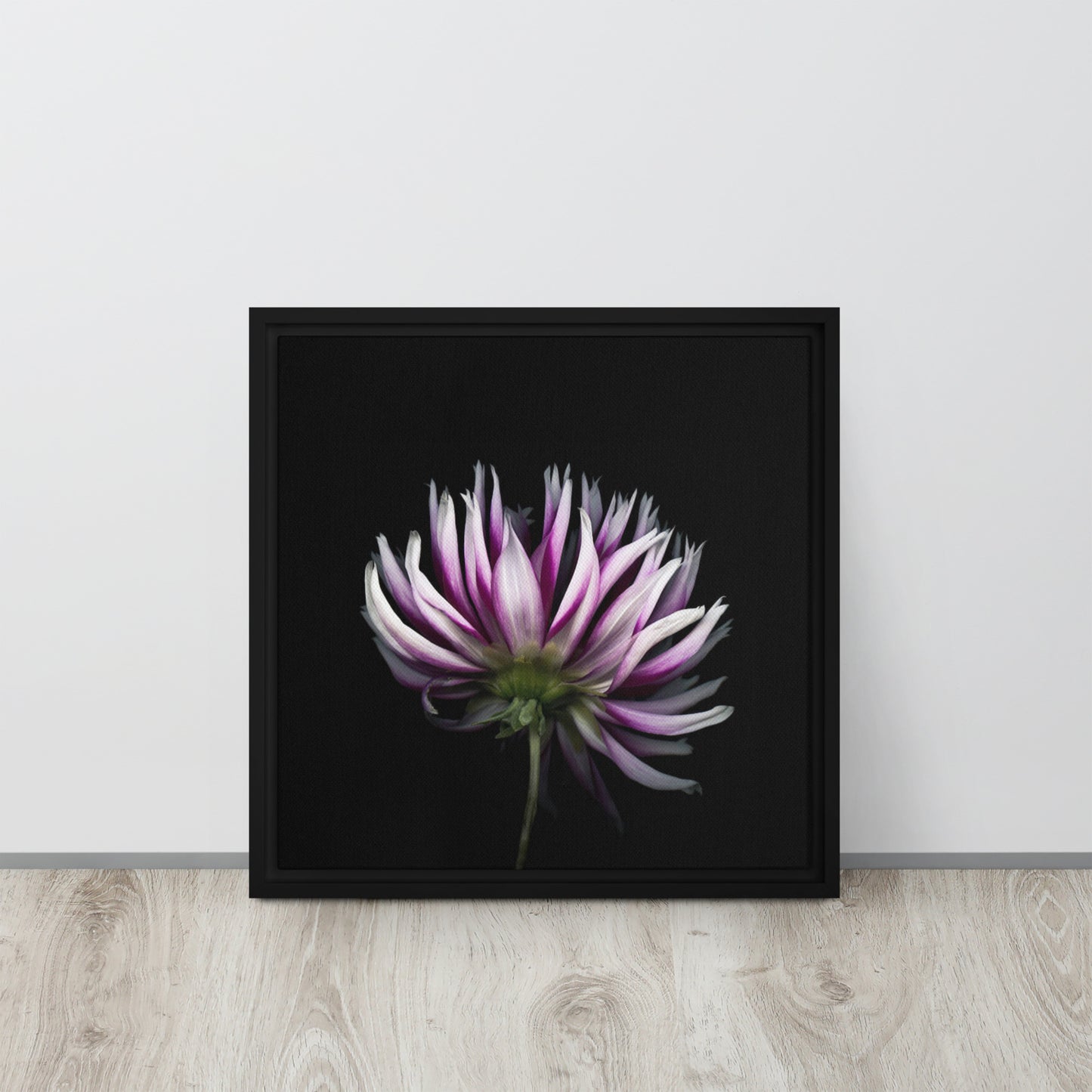 purple dahlia flower canvas print wall art black frame 