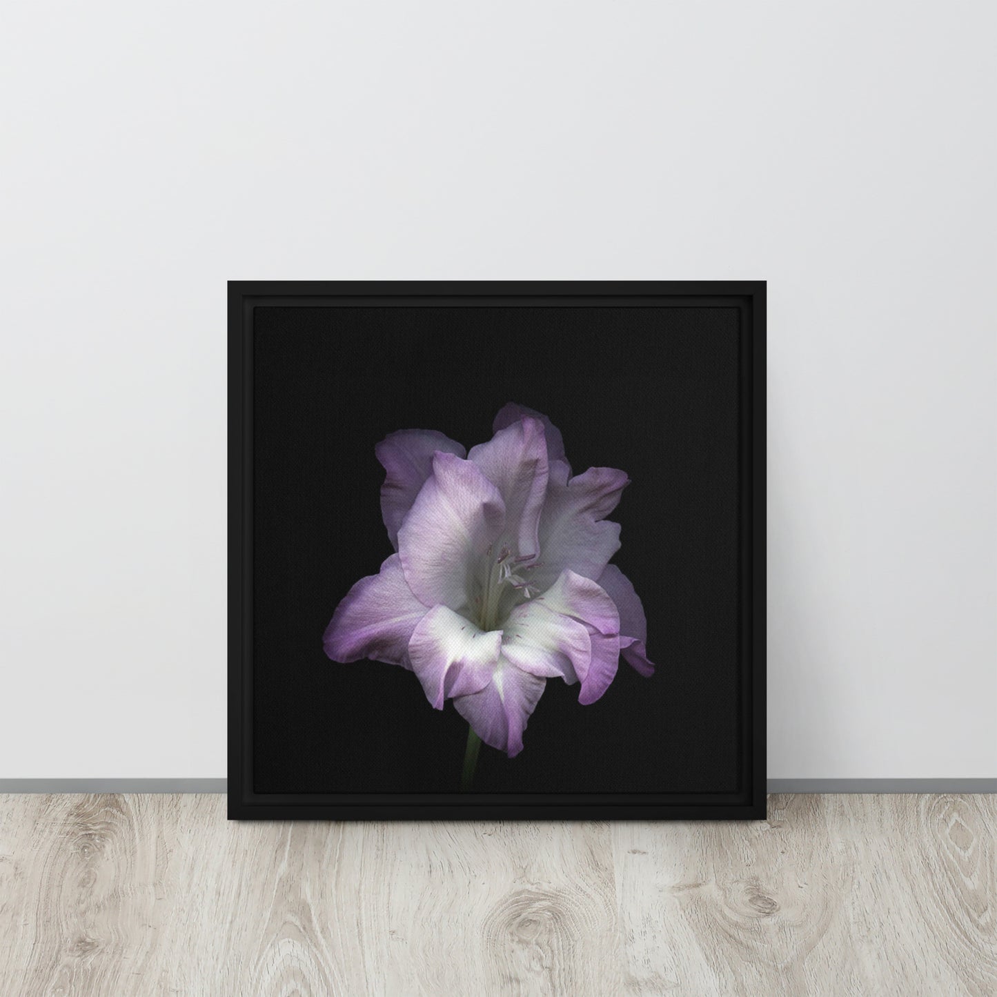 lilac gladiolus flower black framed canvas print artwork