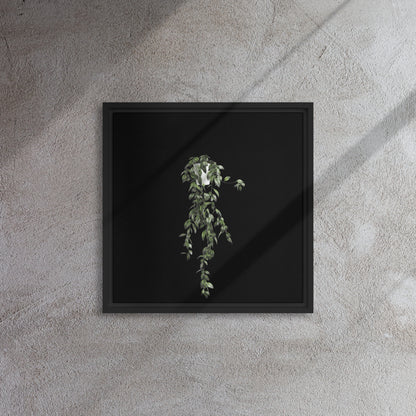 vine plant canvas print wall artwork on black floater frame 