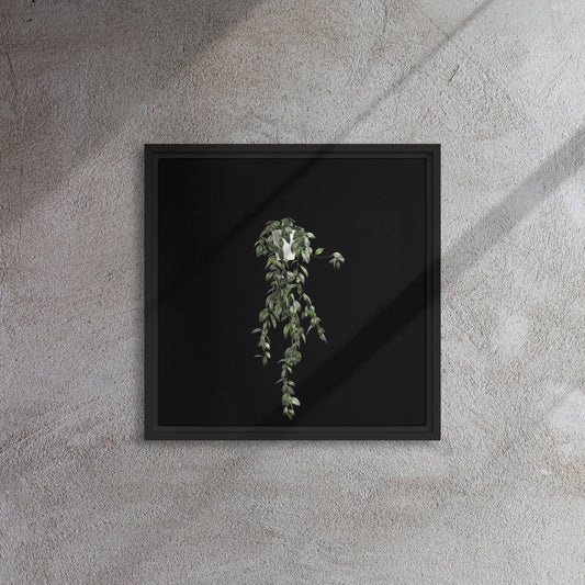 vine plant canvas print wall artwork on black floater frame 