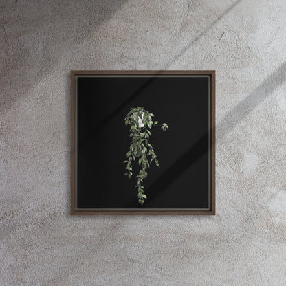 vine plant canvas print wall artwork on brown floater frame 