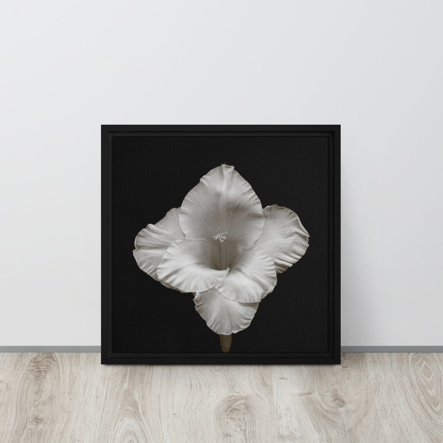 gladiolus flower framed canvas print wall art black frame 