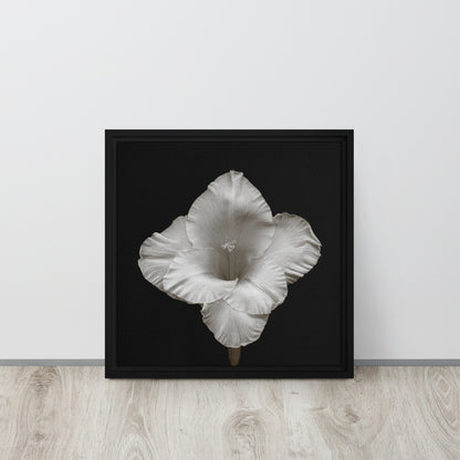 gladiolus flower framed canvas print wall art black frame 