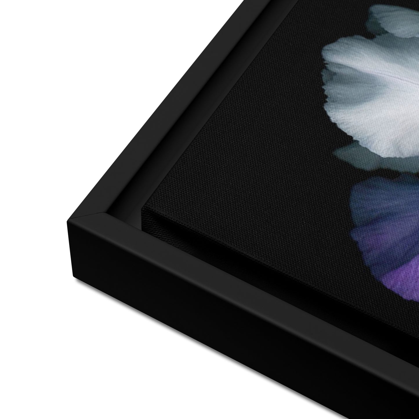 iris flower canvas print artwork black frame 