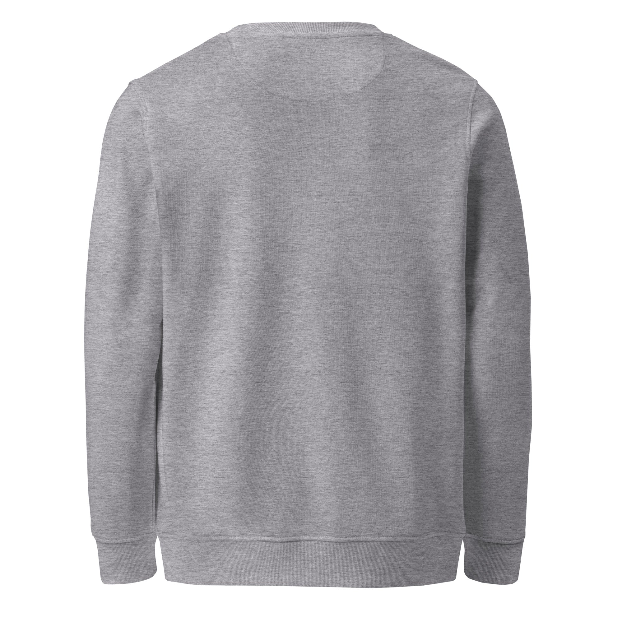back view of soft fleece crewneck sweater for men
