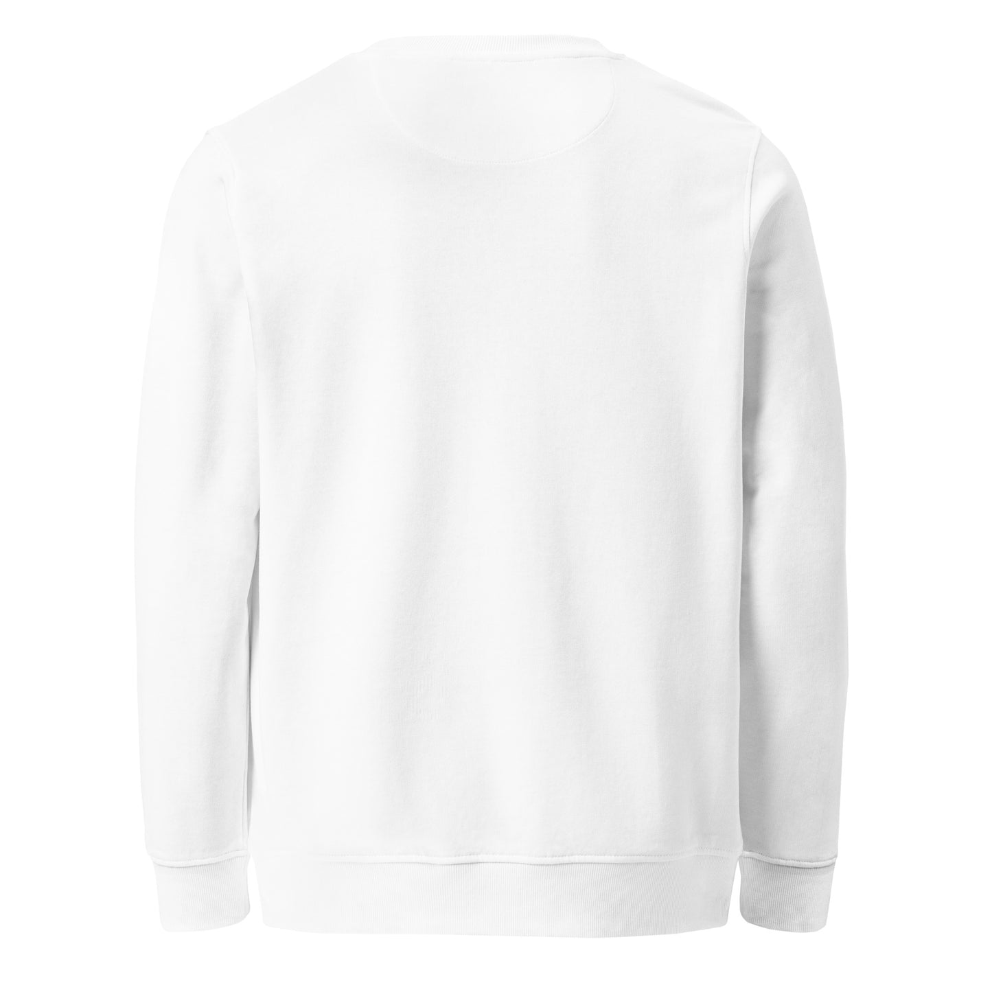 back view of men's long sleeve crewneck sweater