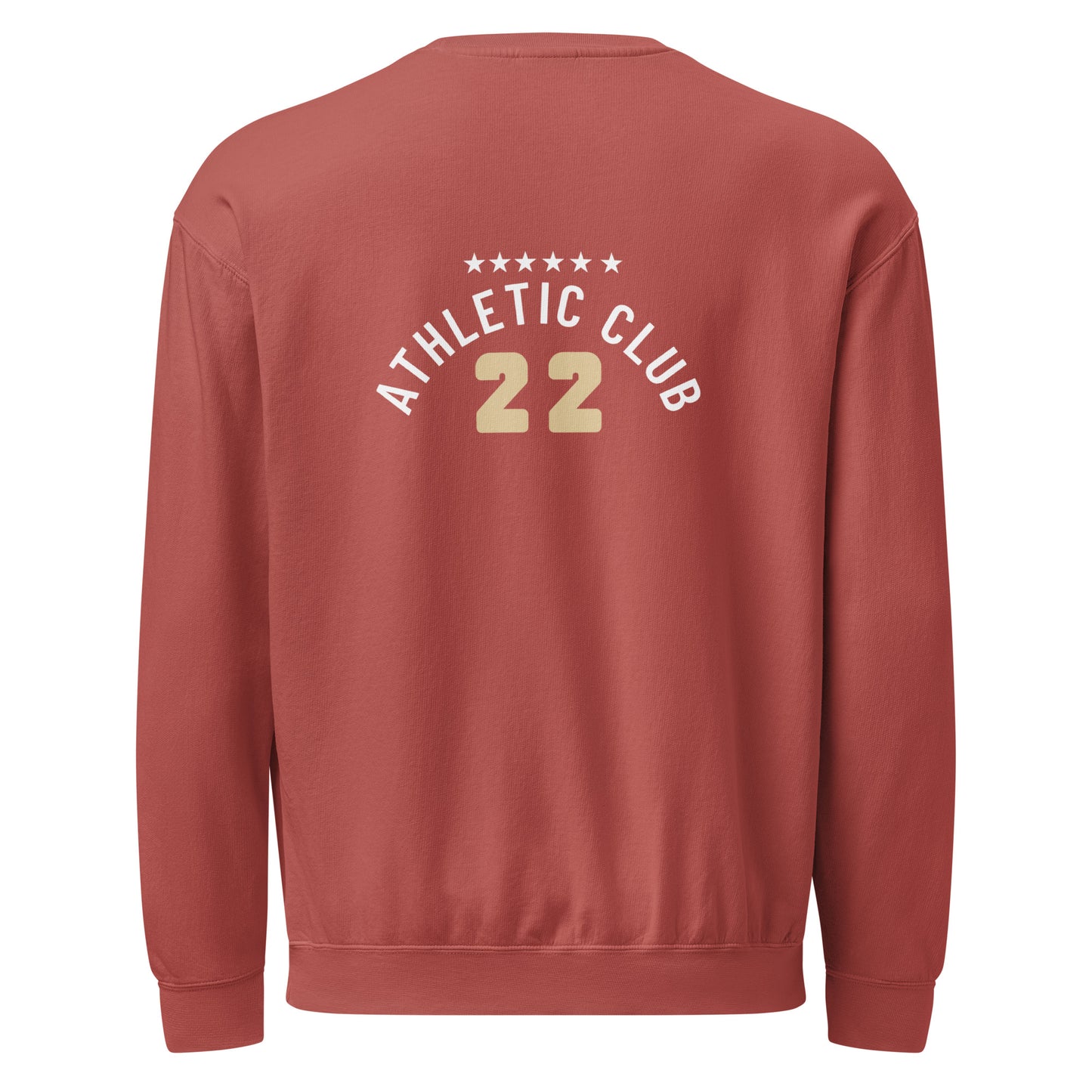 back view of washed crimson men's crewneck sweater