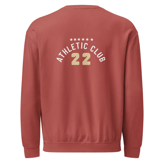 back view of washed crimson men's crewneck sweater