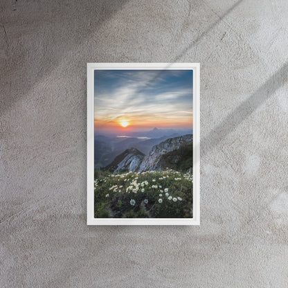 mountain wildflower art on white floater frame 