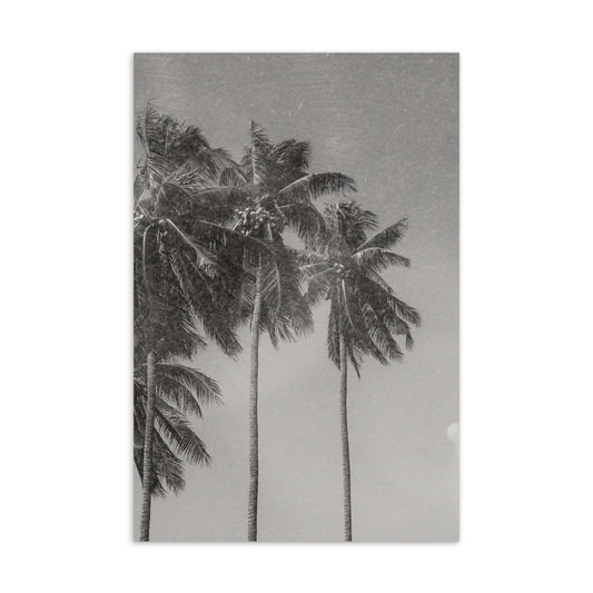 Palm Trees Greeting Card
