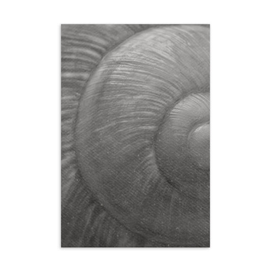 High-quality, thick matte greeting card with beach shell