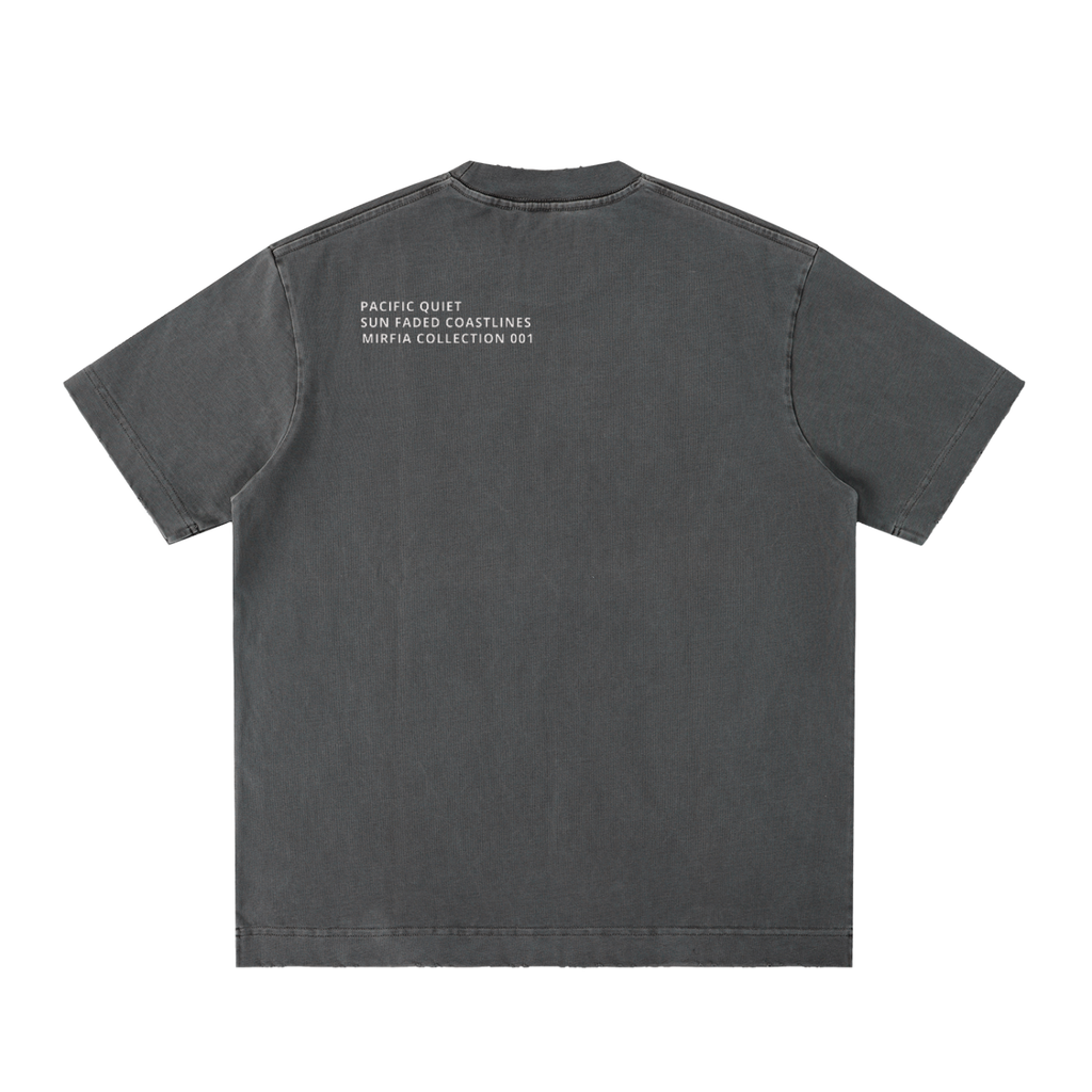 back view of grey heavyweight vintage washed graphic t-shirt with text